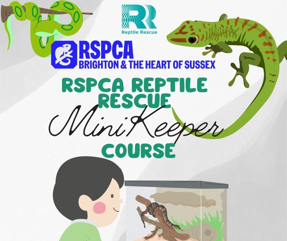 RSPCA reptile rescue added a new photo. - RSPCA reptile rescue