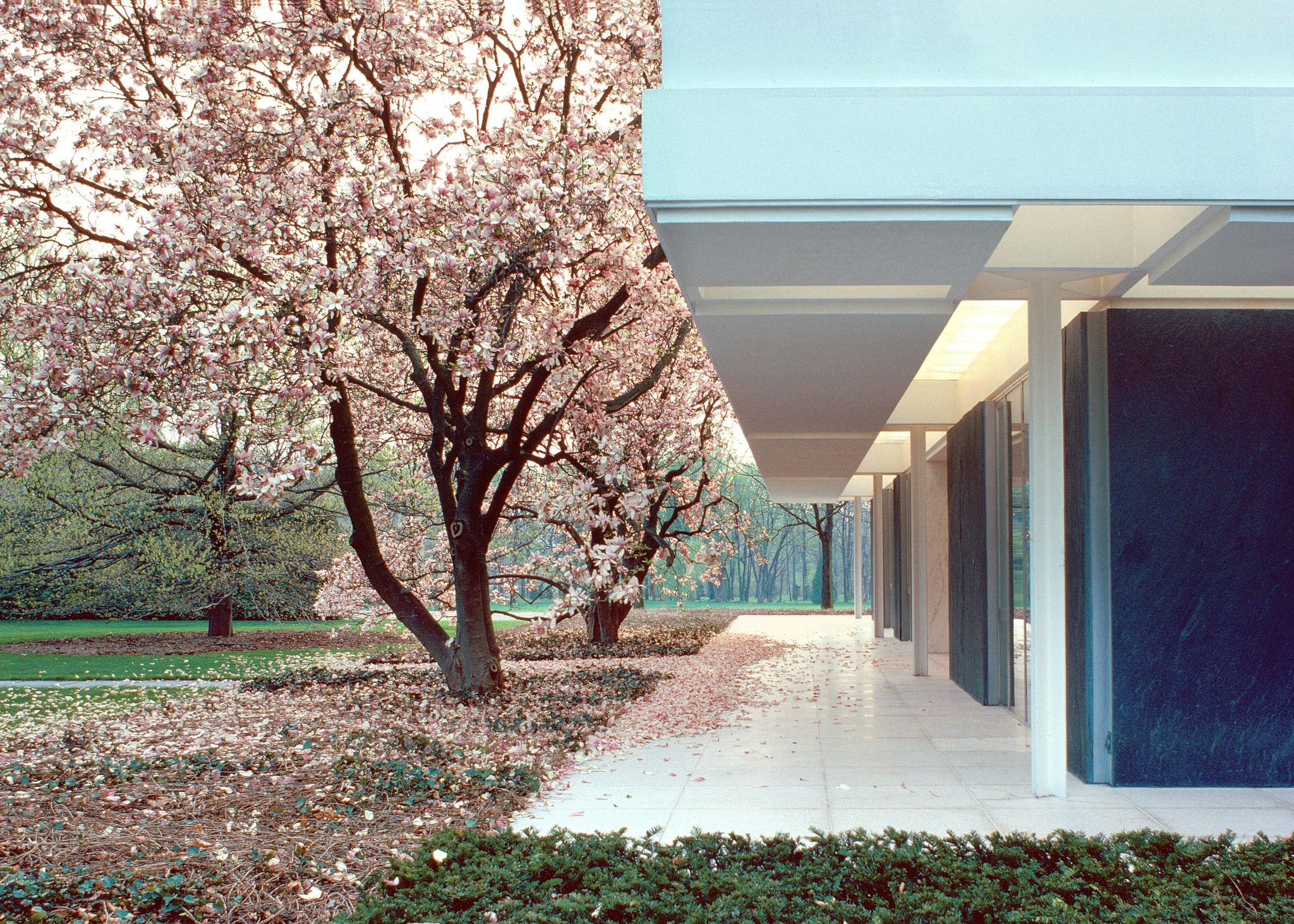 Miller House and Garden in Columbus, Indiana, by Eero Saarinen
