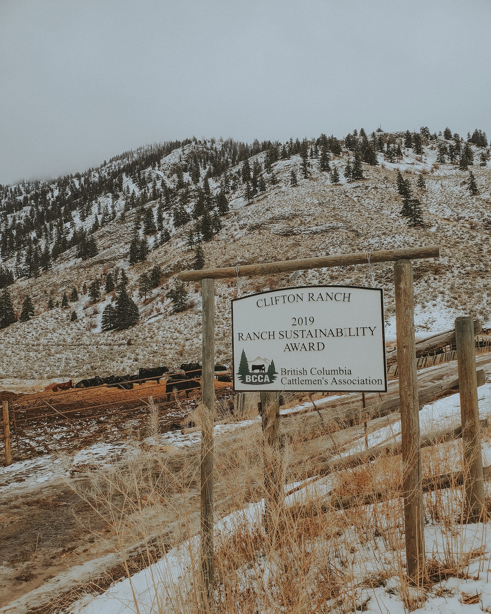 We are proud to operate our... - Clifton Ranch Homegrown Beef