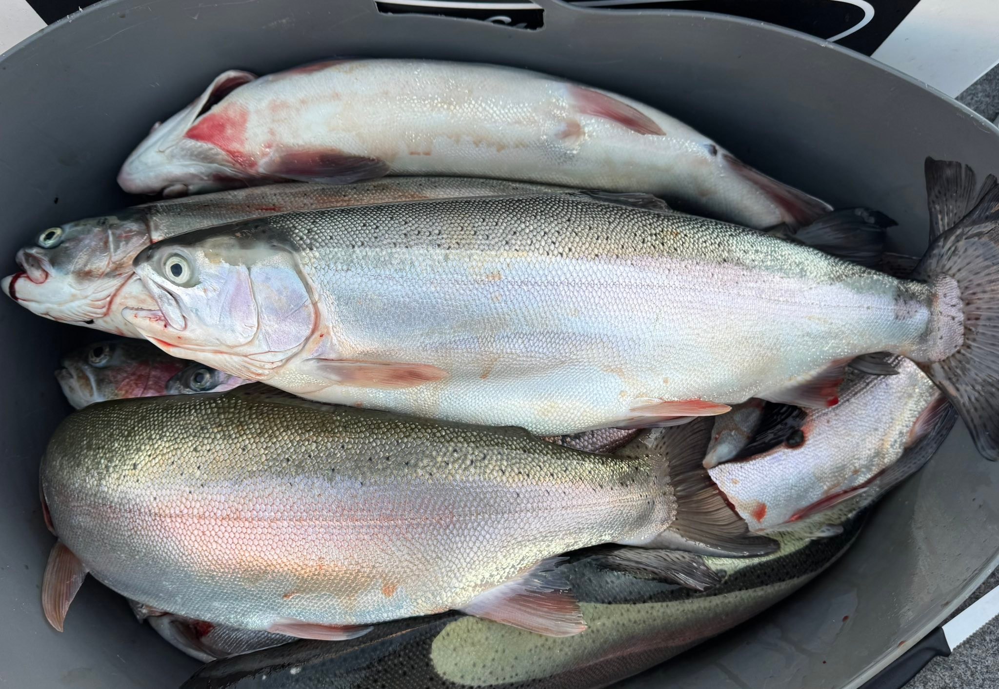 Eastern Fish & Game added a new photo. - Eastern Fish & Game
