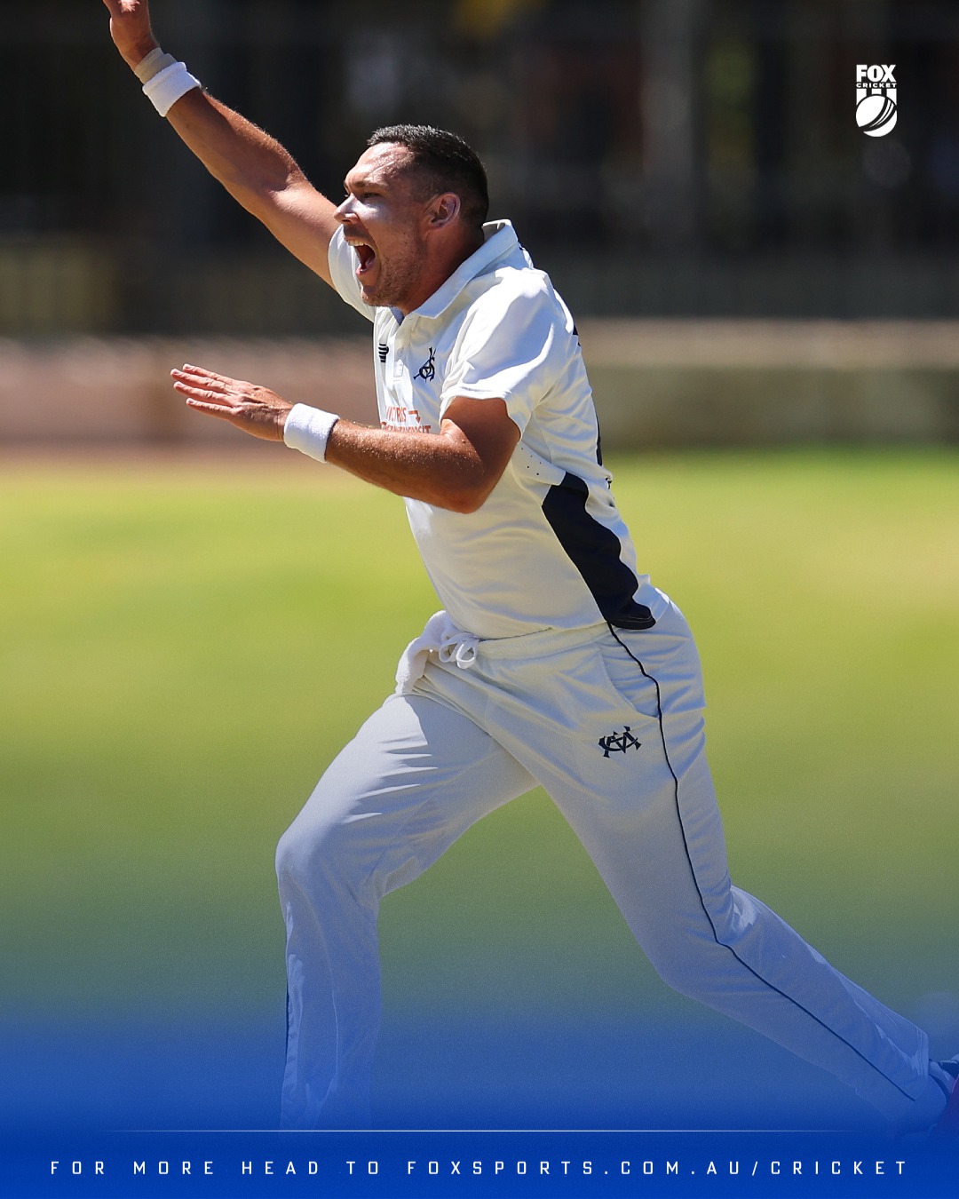 Fox Cricket - Who else but Scotty Boland? 😍 Victoria has... | Facebook