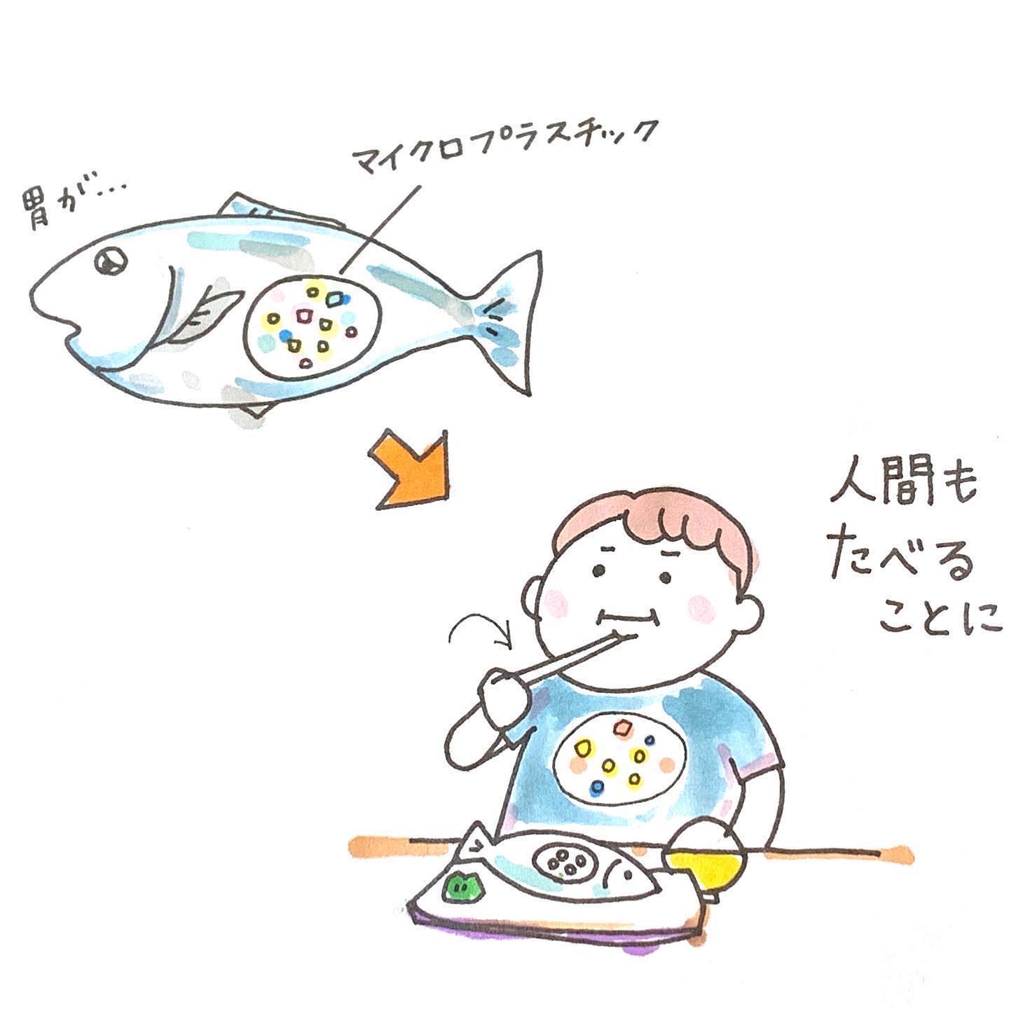プラスチックゴミ Explore