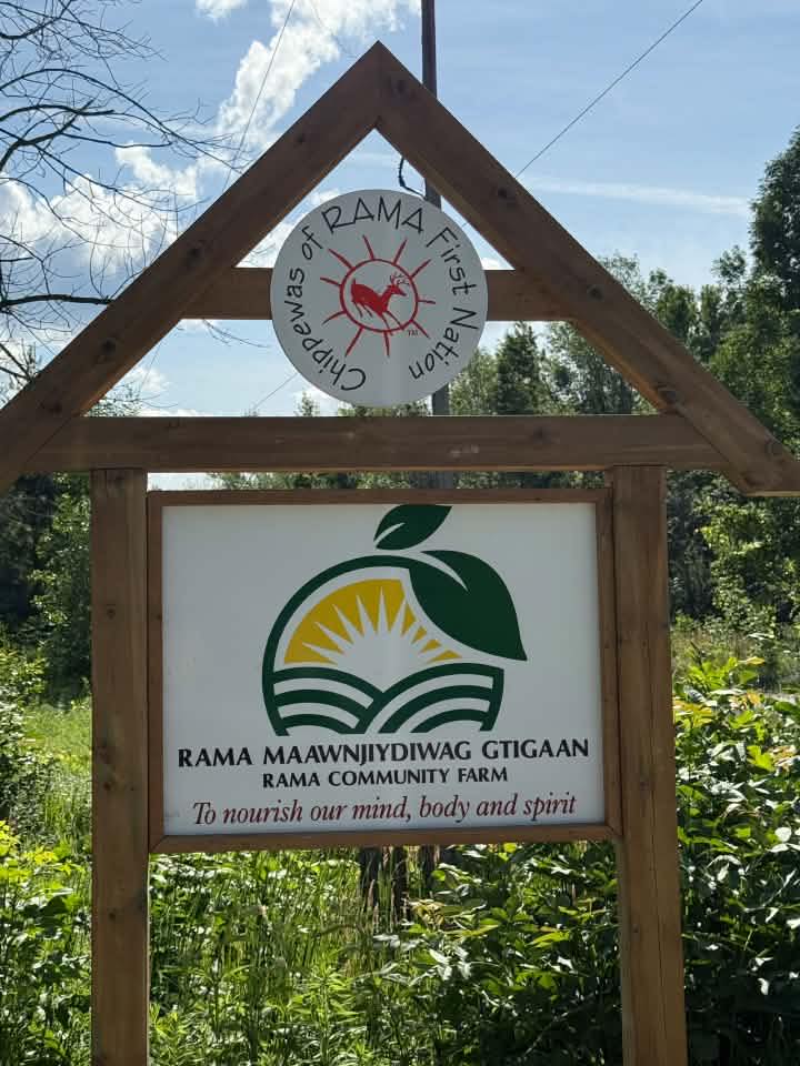 Still plenty of soups and salads... - Rama Community Farm | Facebook