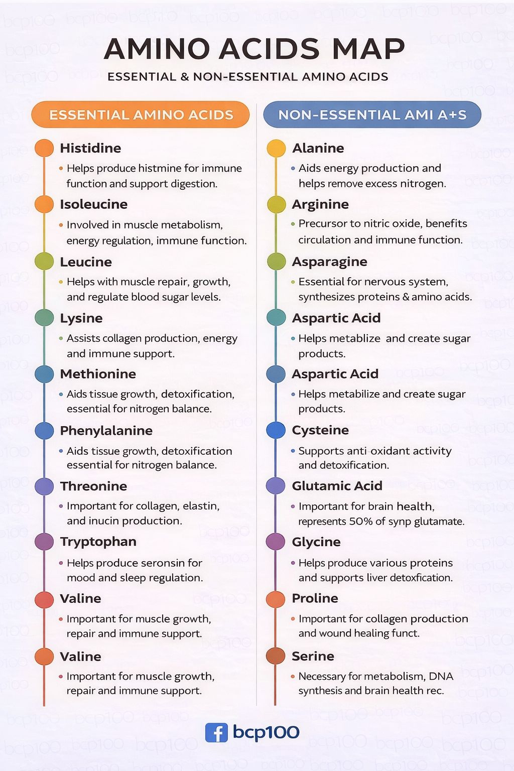 Biology - 🧬 AMINO ACIDS – ESSENTIAL vs NON-ESSENTIAL (NEET QUICK ...