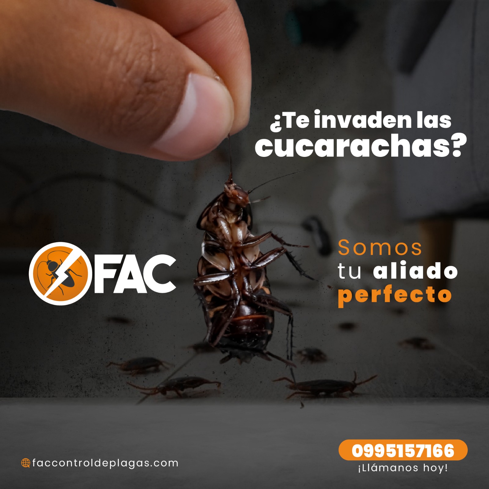 FAC - 🪳🚫 No dejes que se apoderen de tu hogar o negocio. En Fac Control ...