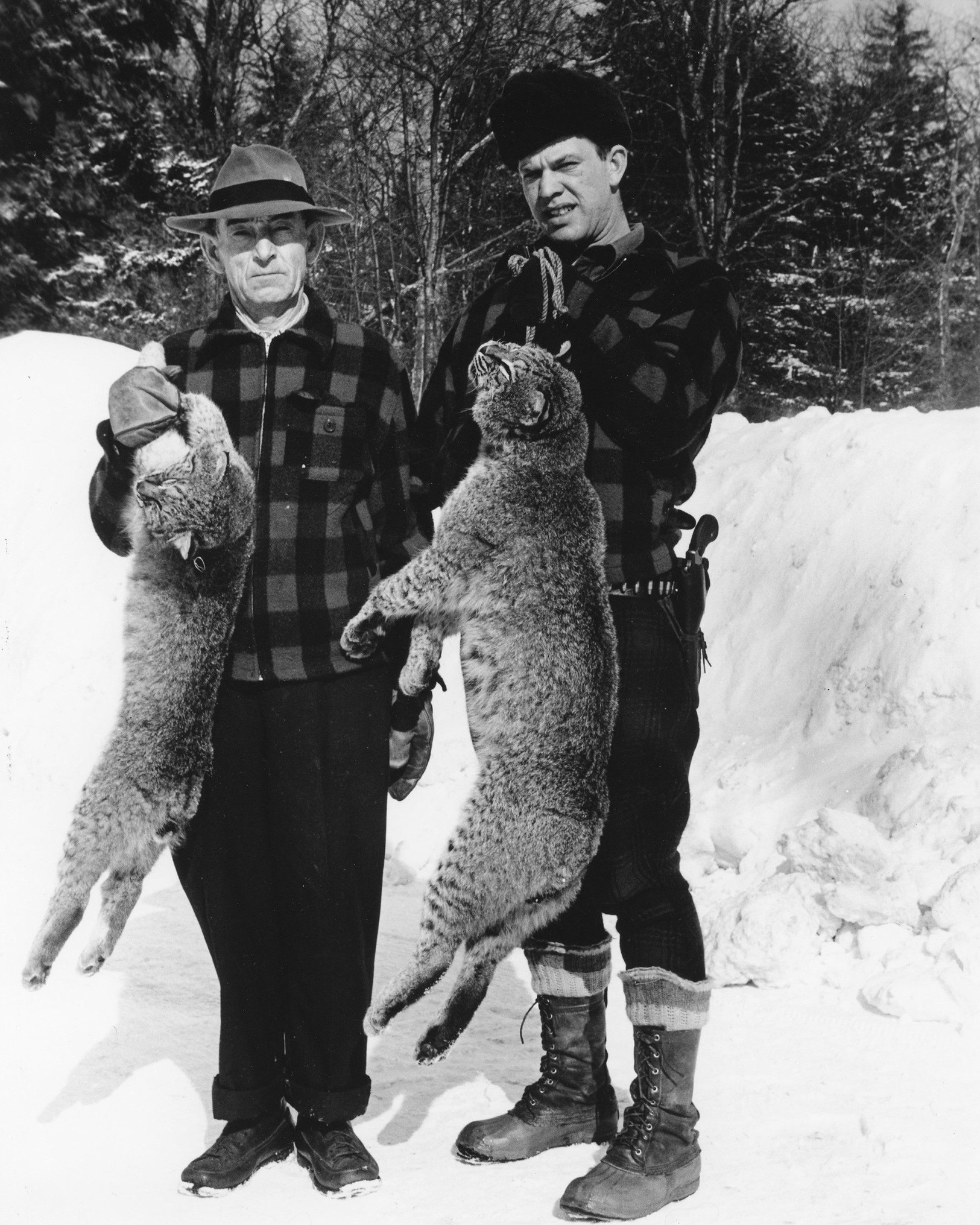 Tom - Fur trappers Frank Ritz (L) & Lyle Yerman hold 2 bobcats taken ...