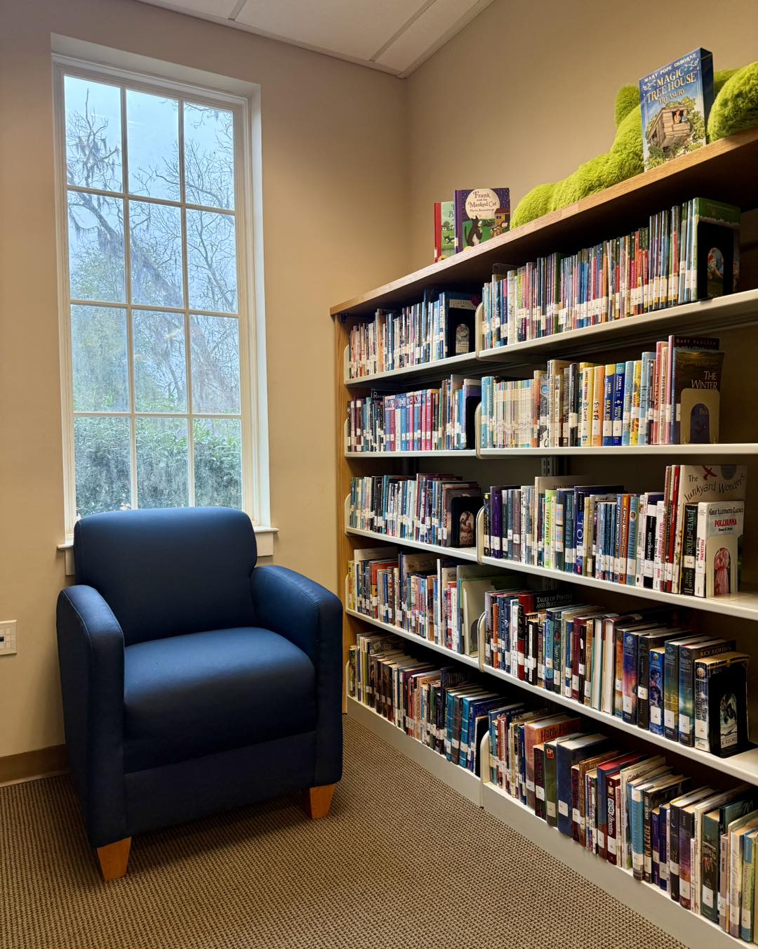 Allendale-Hampton-Jasper Regional Library | Allendale SC