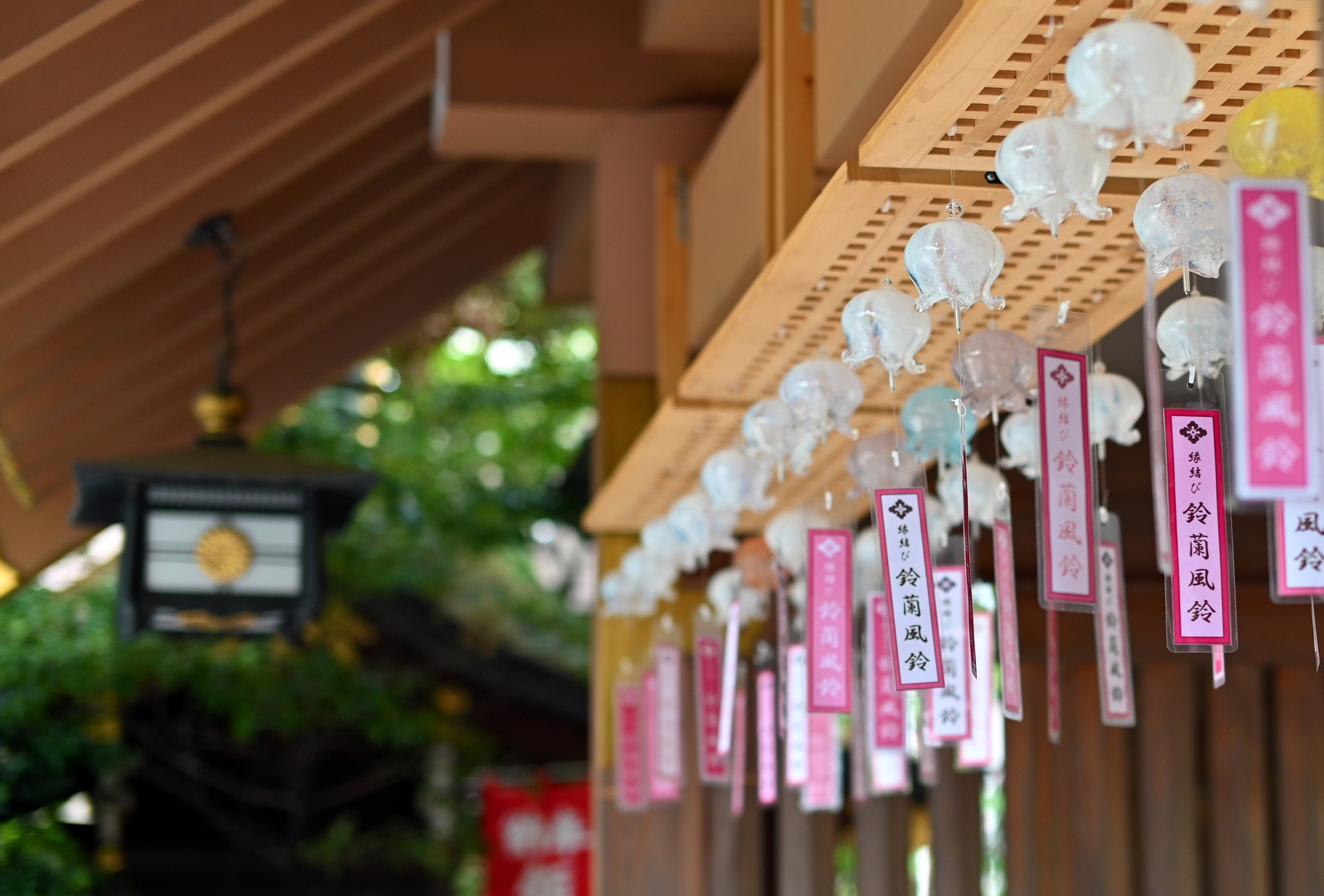 東京大神宮 - 本日、表千家の左海祥二郎宗匠のご奉仕による「献茶式