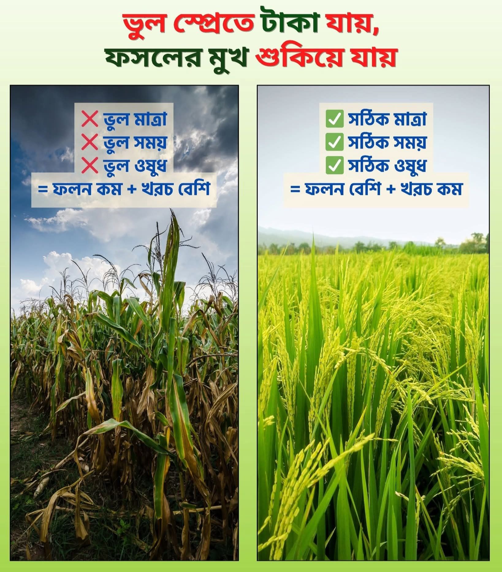 FASAL & Farming | Arambagh