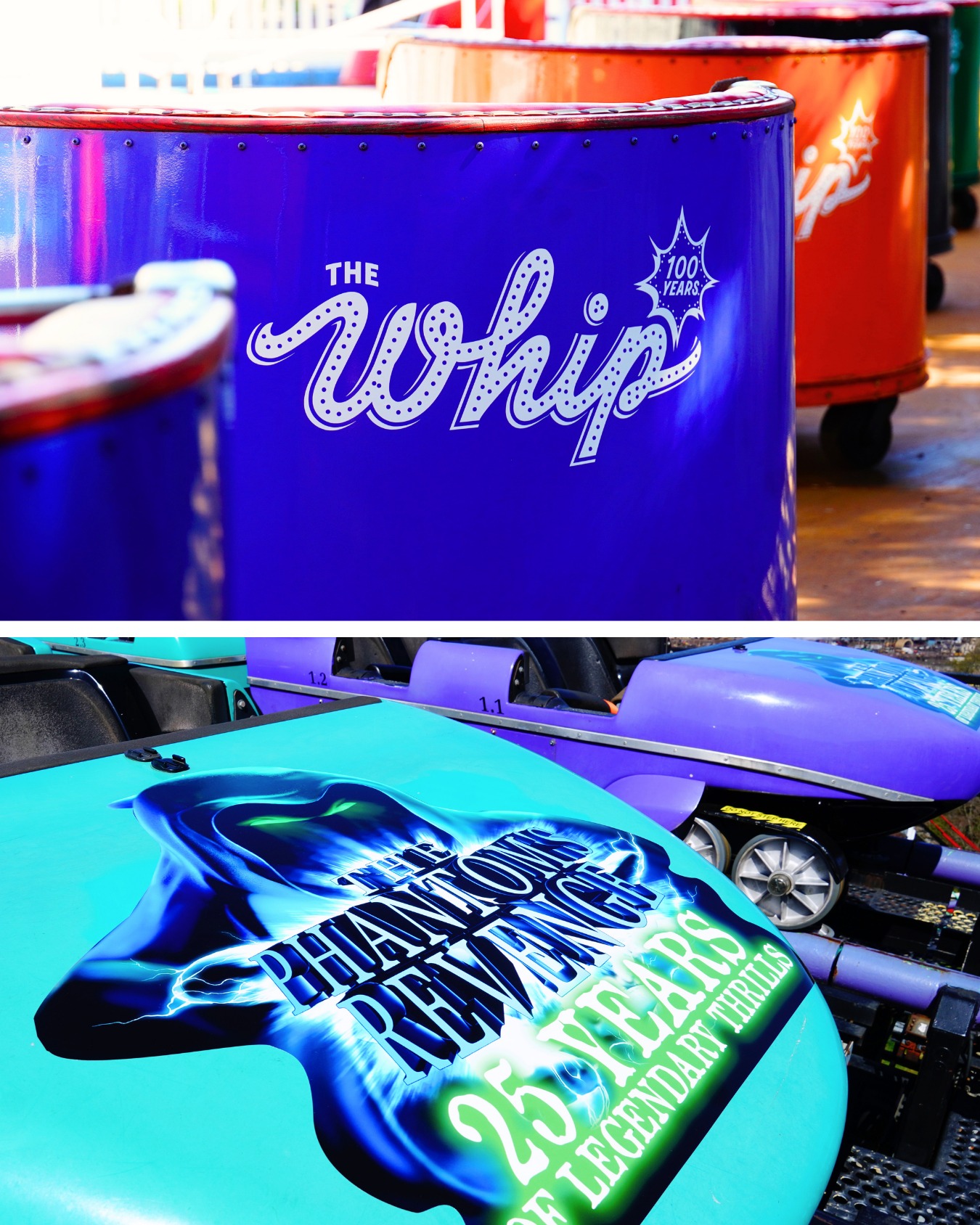 whip メジャー