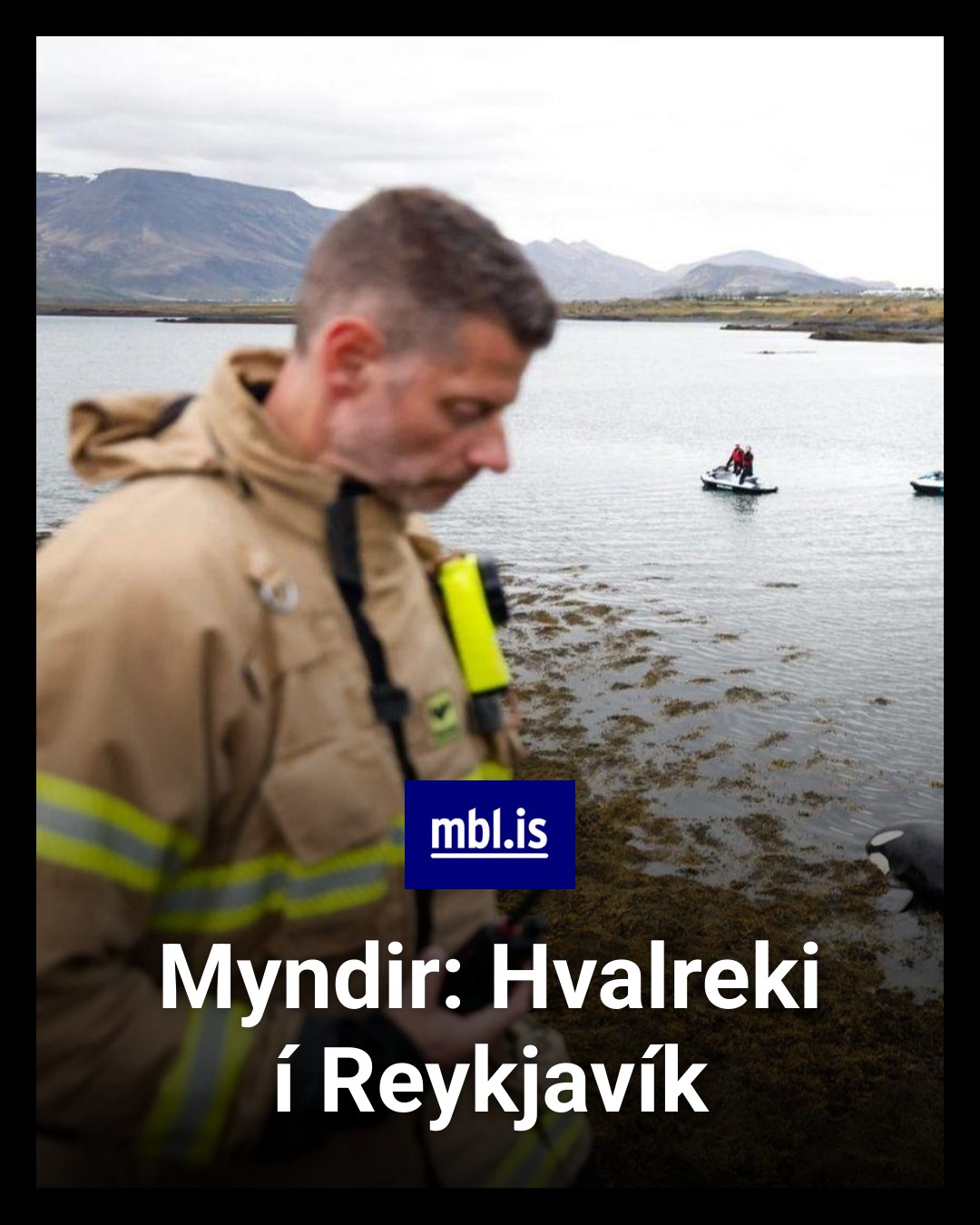 mbl.is - Sjáðu myndir af vettvangi í fréttinni👇 | Facebook
