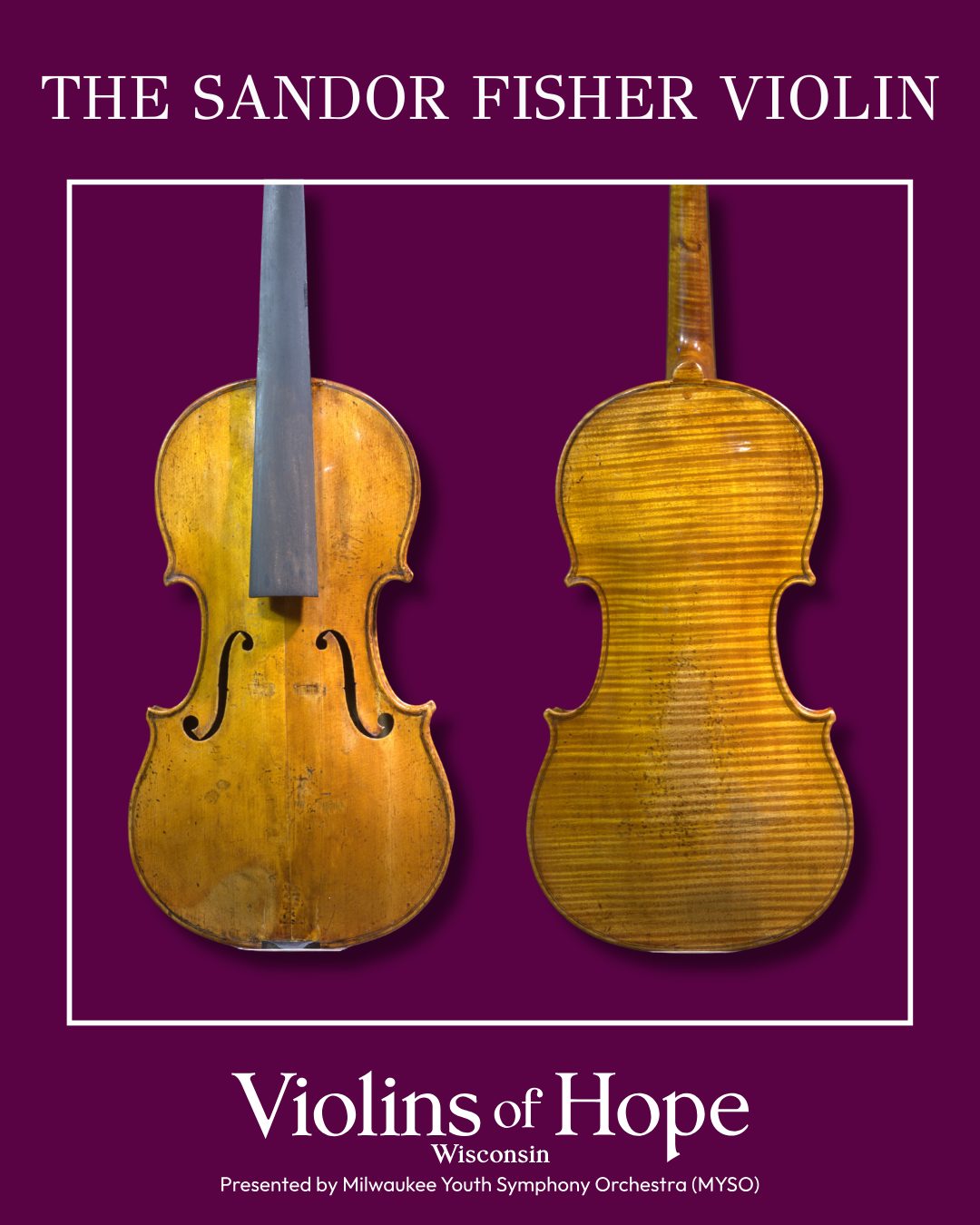 Violin Highlight: The... - Milwaukee Youth Symphony Orchestra | Facebook