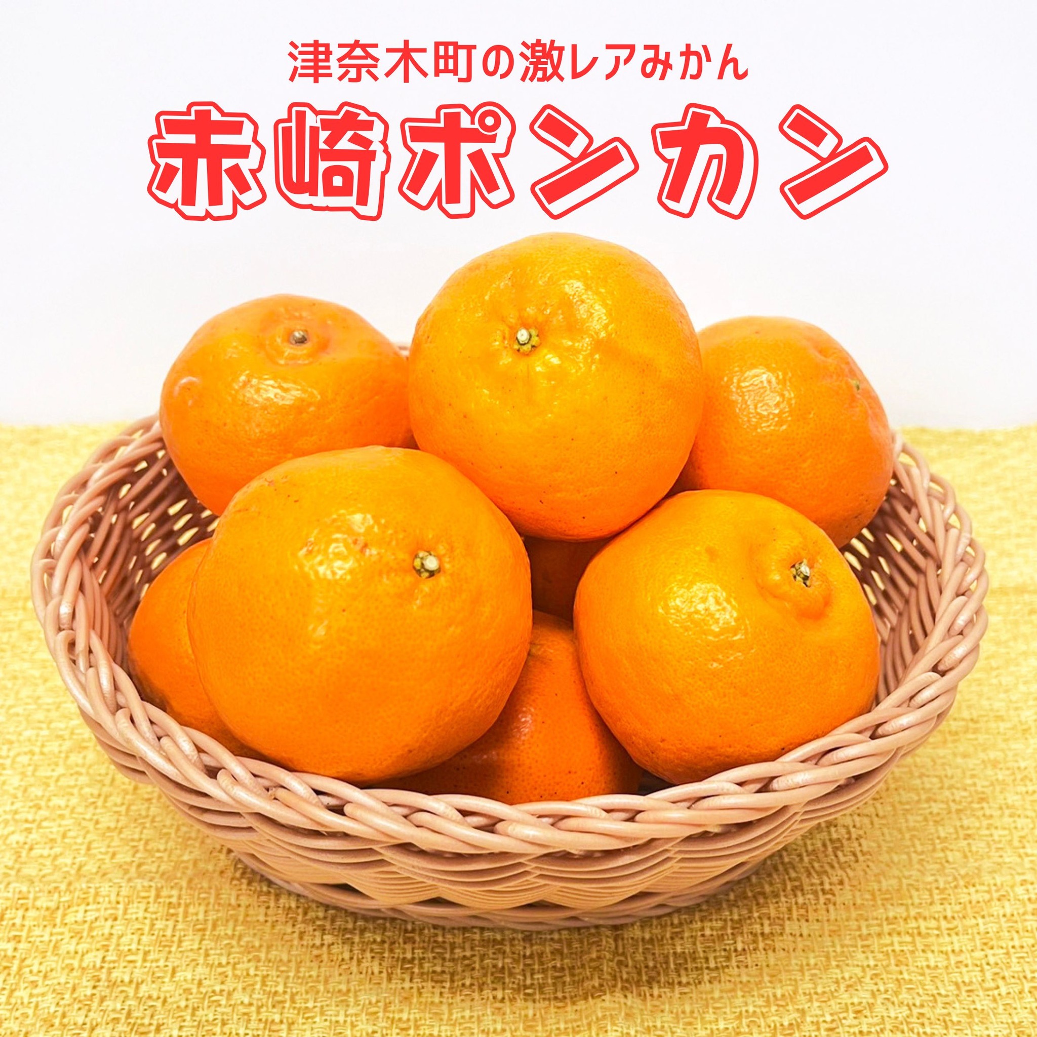 銀座熊本館 - 柑橘類が美味しいことで知られる津奈木町。 開催中の 