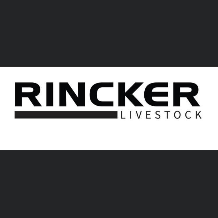 Rincker Livestock on Reels
