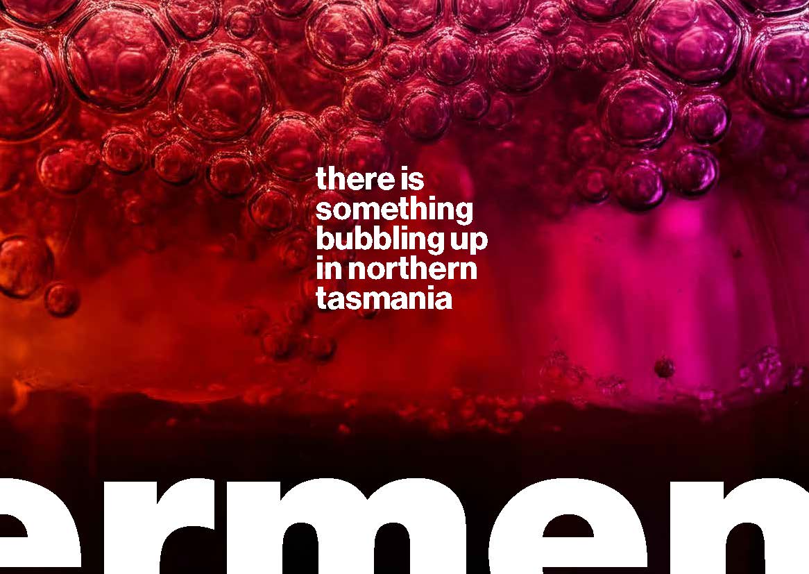 FermenTasmania - The Fermentation Hub is set to be a... | Facebook