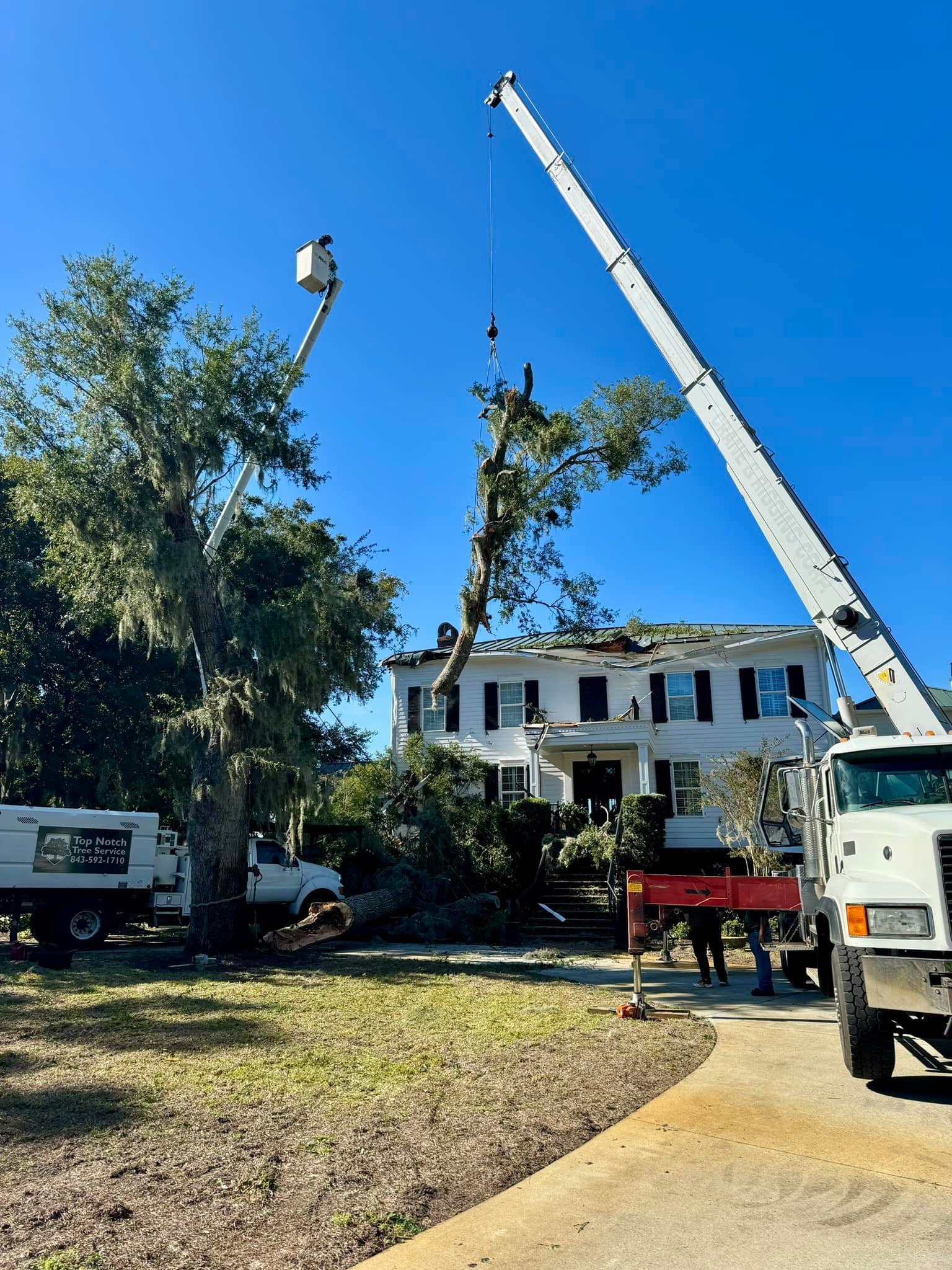 Top Notch Tree Service | Port Royal SC