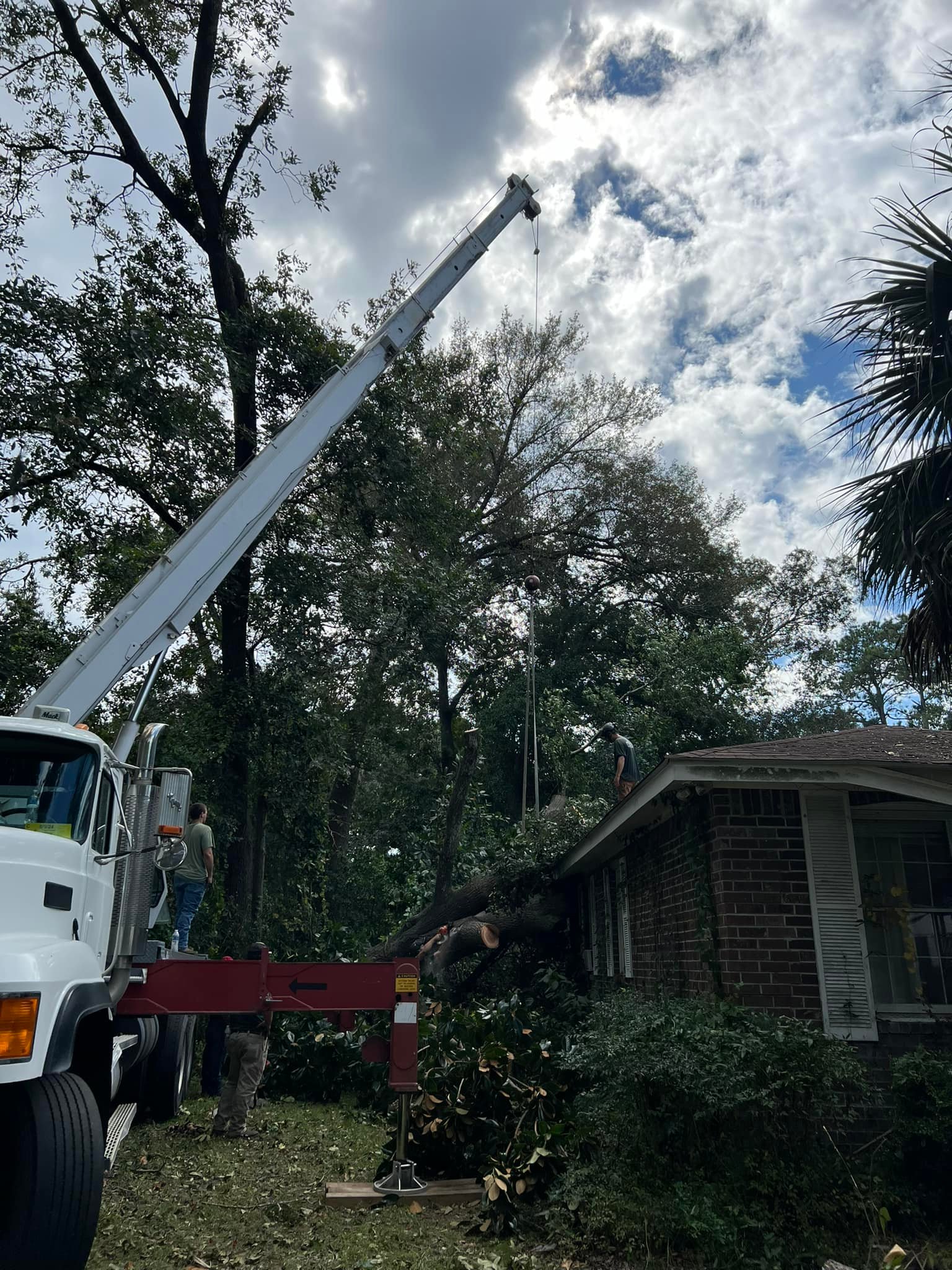 Top Notch Tree Service | Port Royal SC