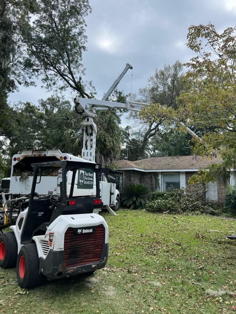 Top Notch Tree Service | Port Royal SC