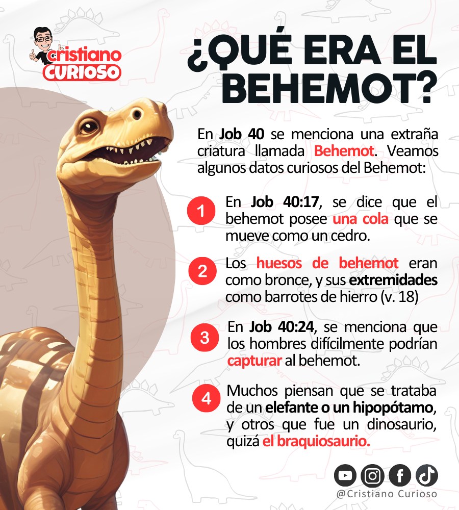 Cristianos - El behemot🦕 🤯 #datoscuriosos #historiasbiblicas | Facebook
