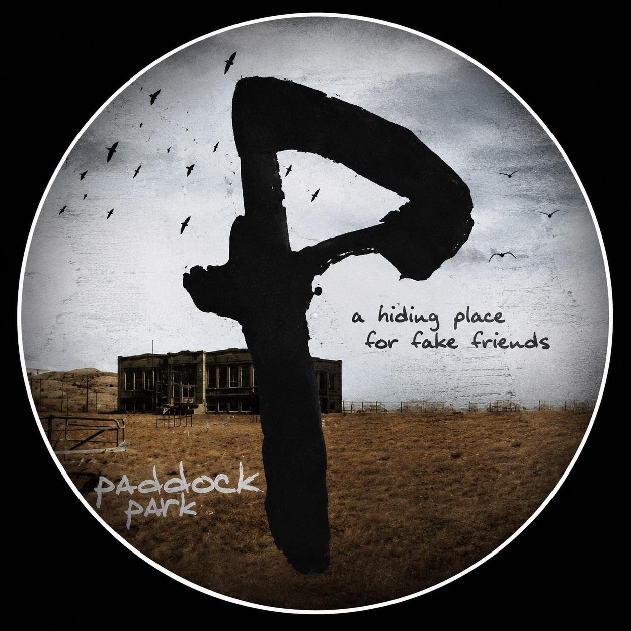 Paddock Park Official (@PaddockParkOfficial) • Facebook