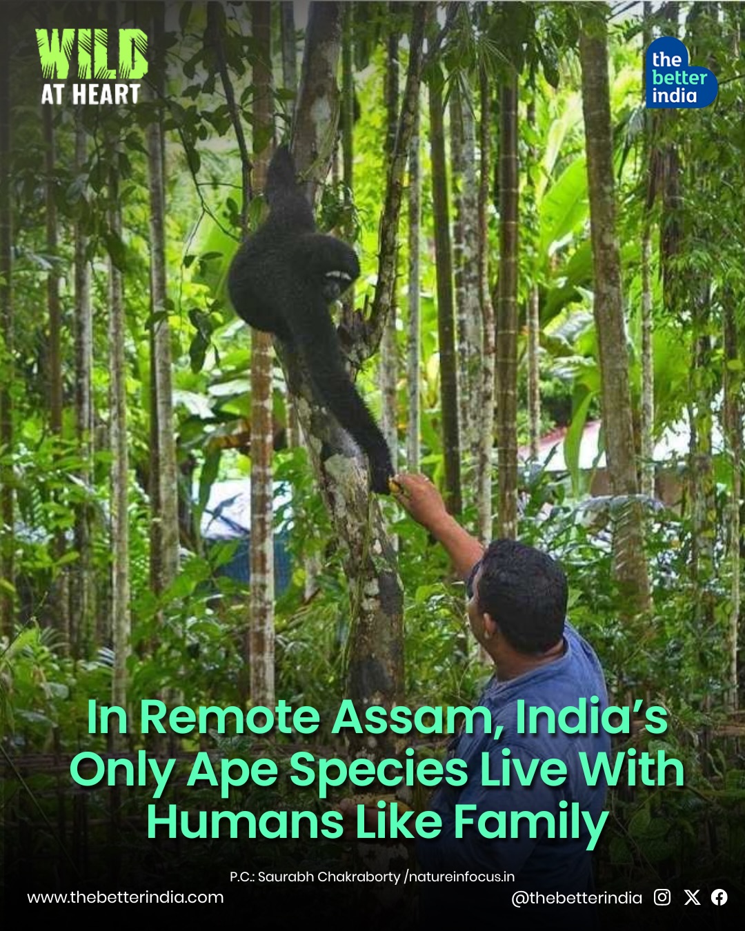 TheBetterIndia - TheBetterIndia added a new photo.
