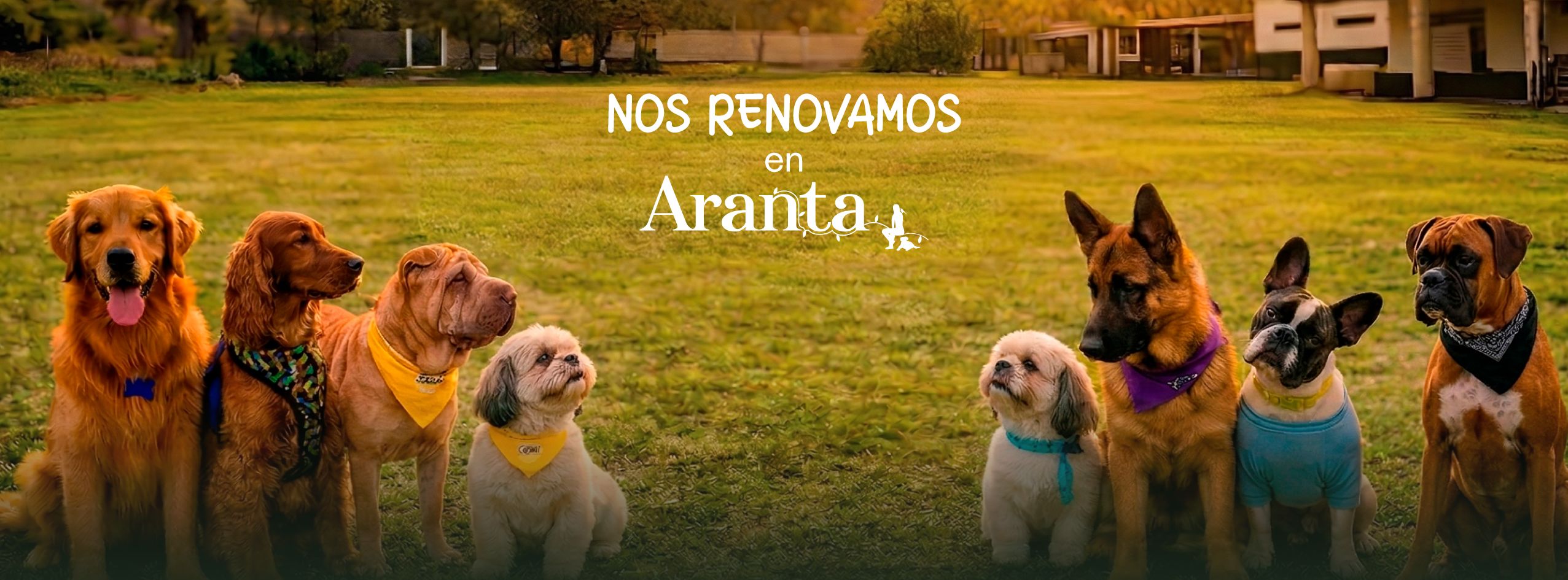 Aranta - Kinder Canino | Lima