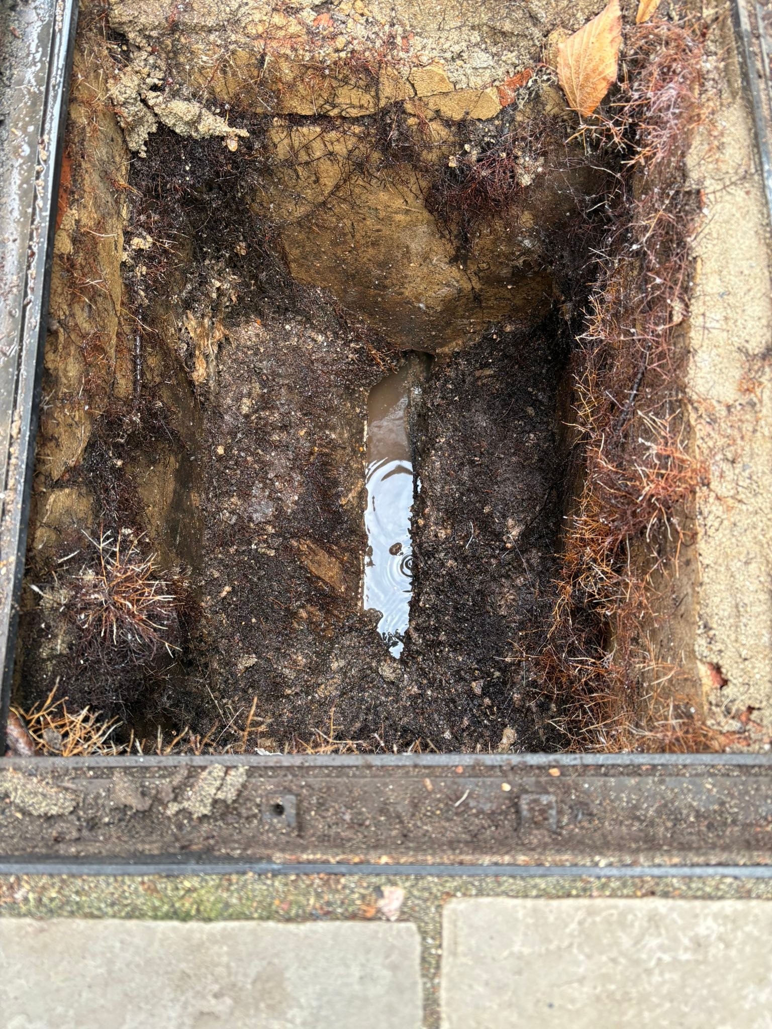 Able Plumbing and Drainage