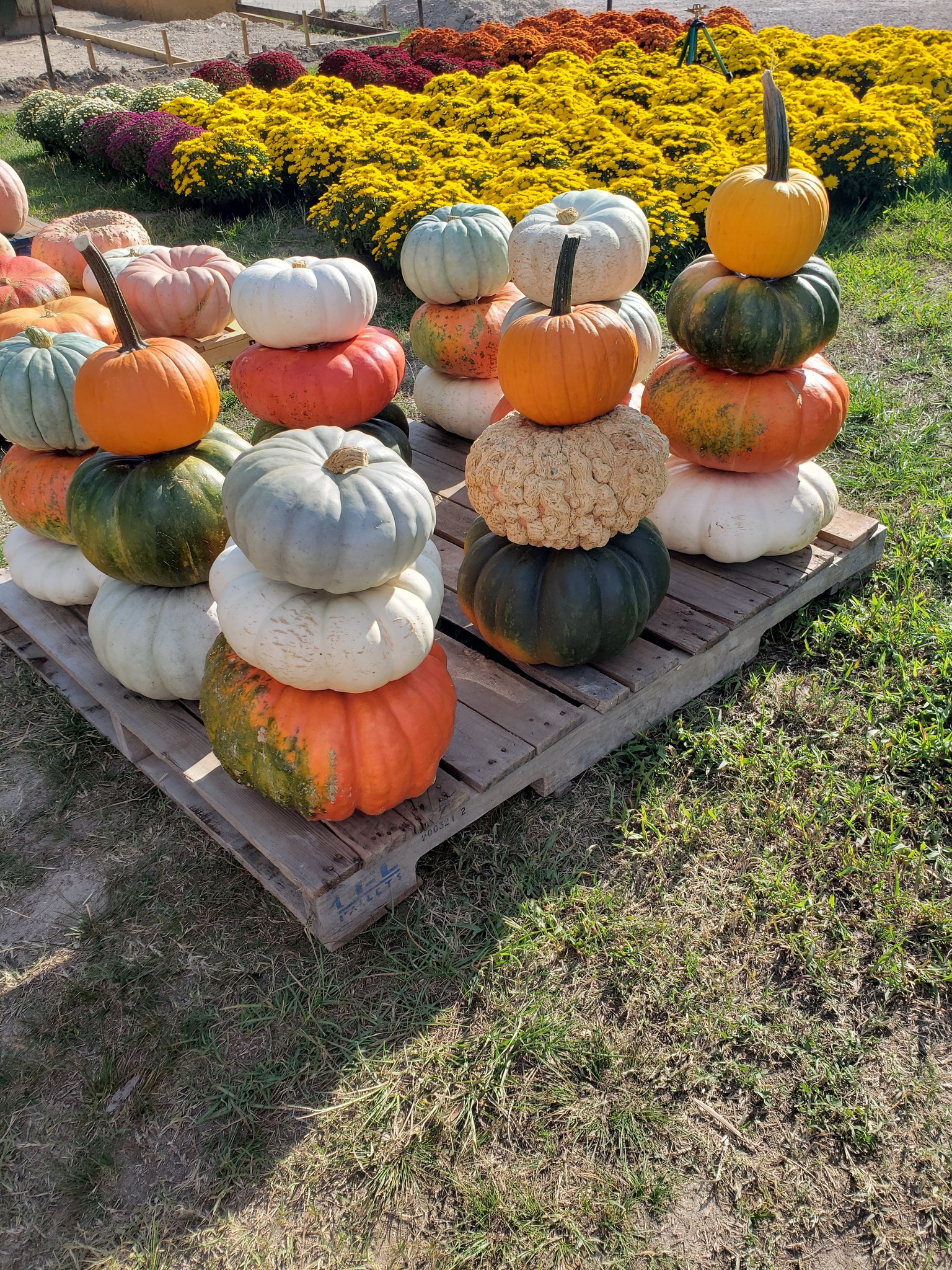 Stone Ridge Farm Market added a... - Stone Ridge Farm Market