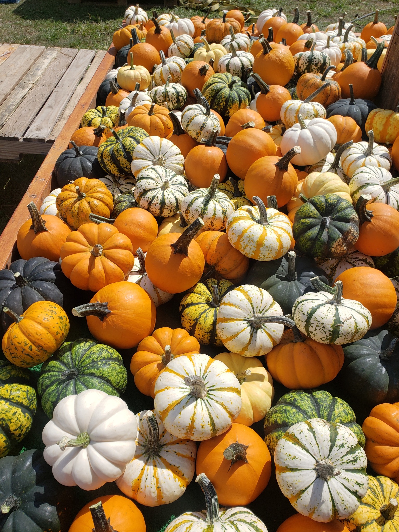 Stone Ridge Farm Market added a... - Stone Ridge Farm Market