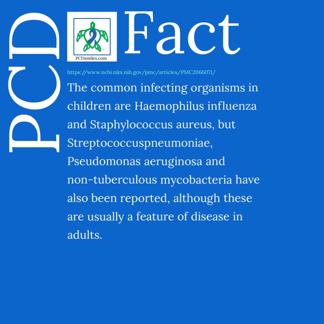 PCD - 👇 Check out our daily PCD Facts, once only shared in our two ...