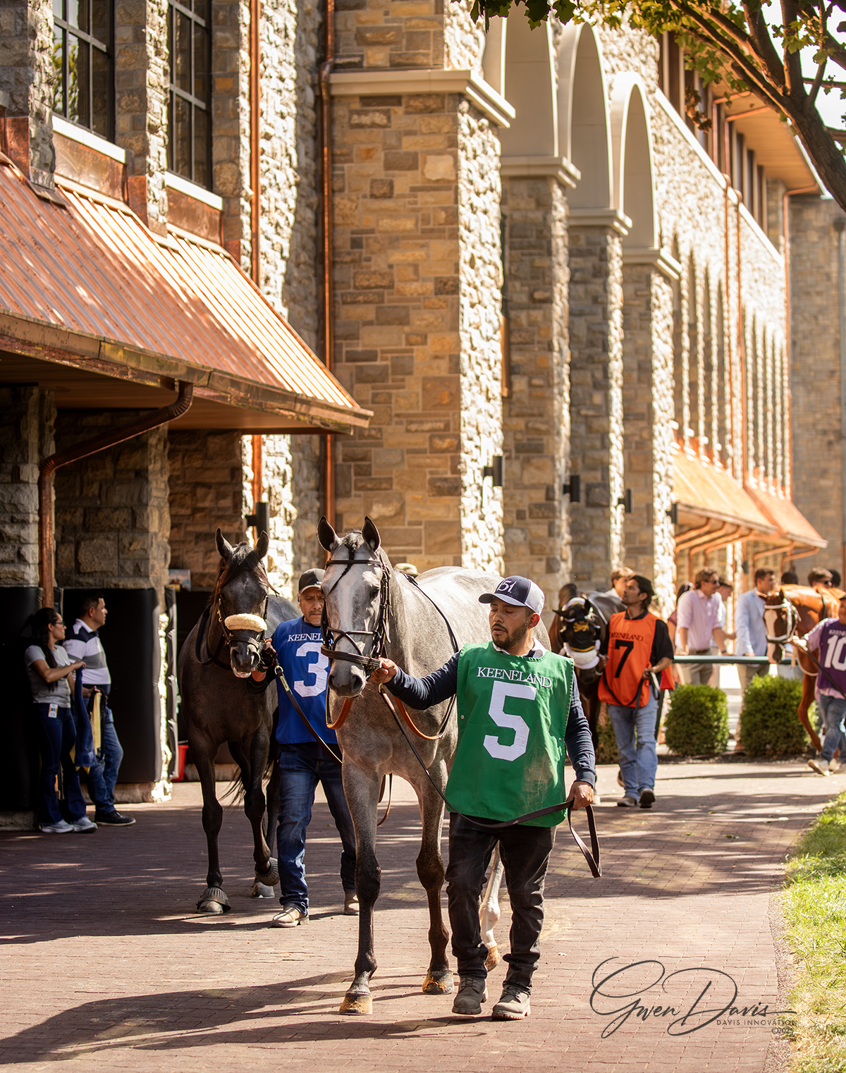 Romans Racing Stables, Inc... - Romans Racing Stables, Inc