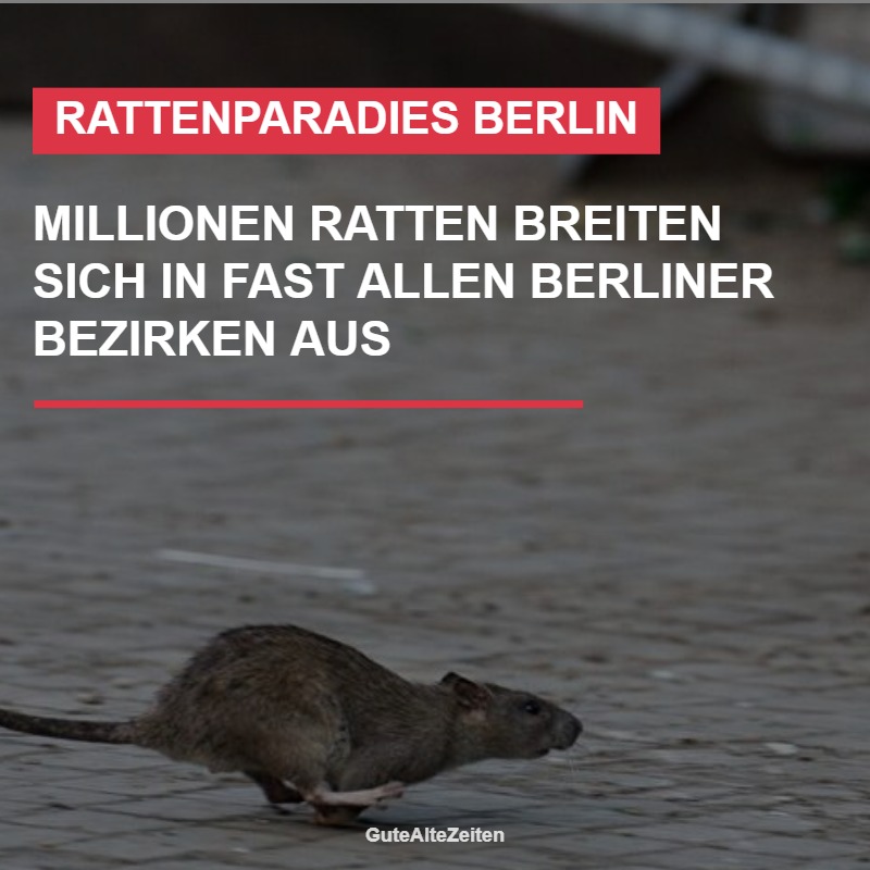 Die - In fast allen Bezirken häufen sich die Meldungen über Schädlinge ...