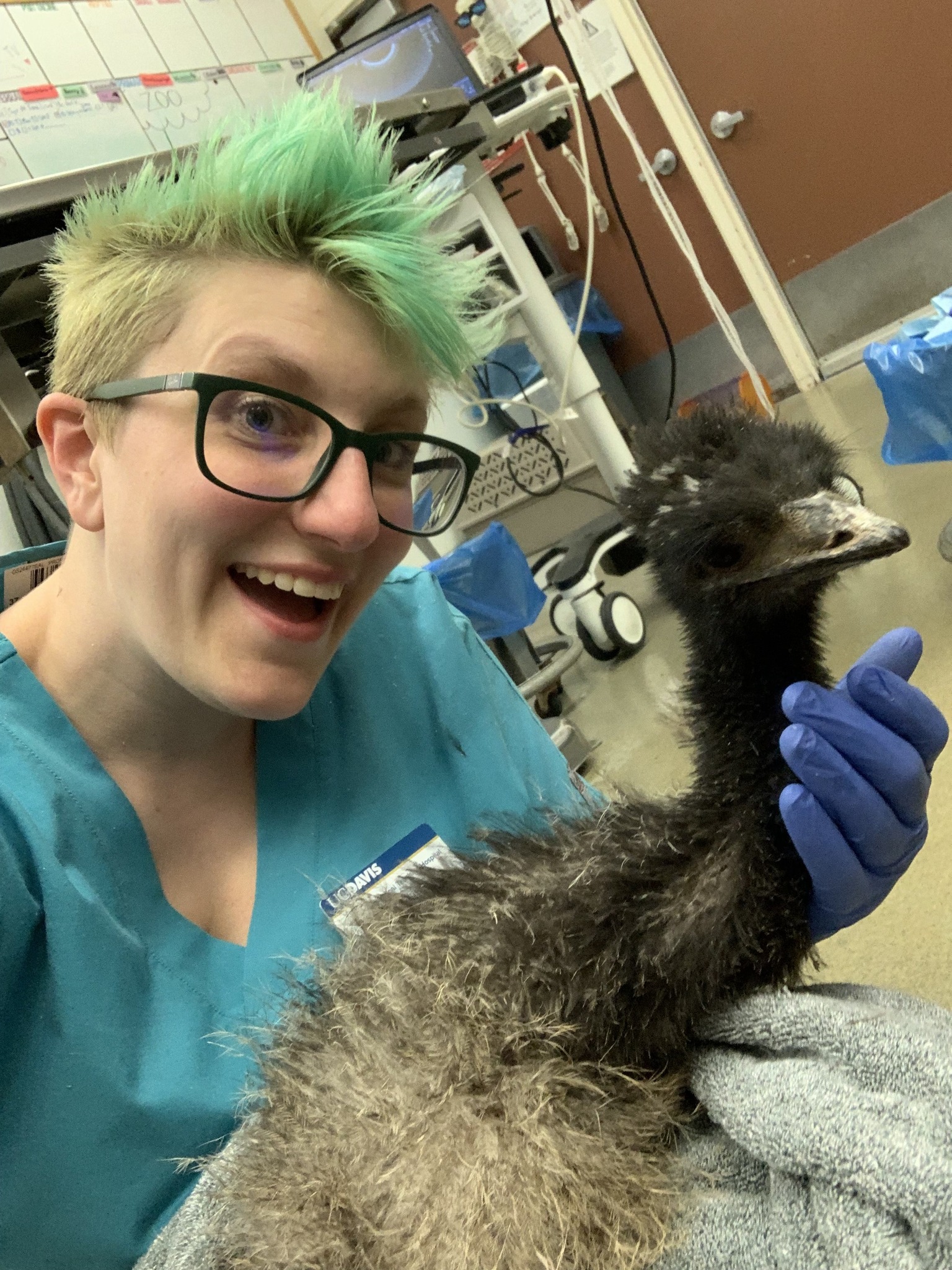 This week marks... - UC Davis School of Veterinary Medicine | Facebook