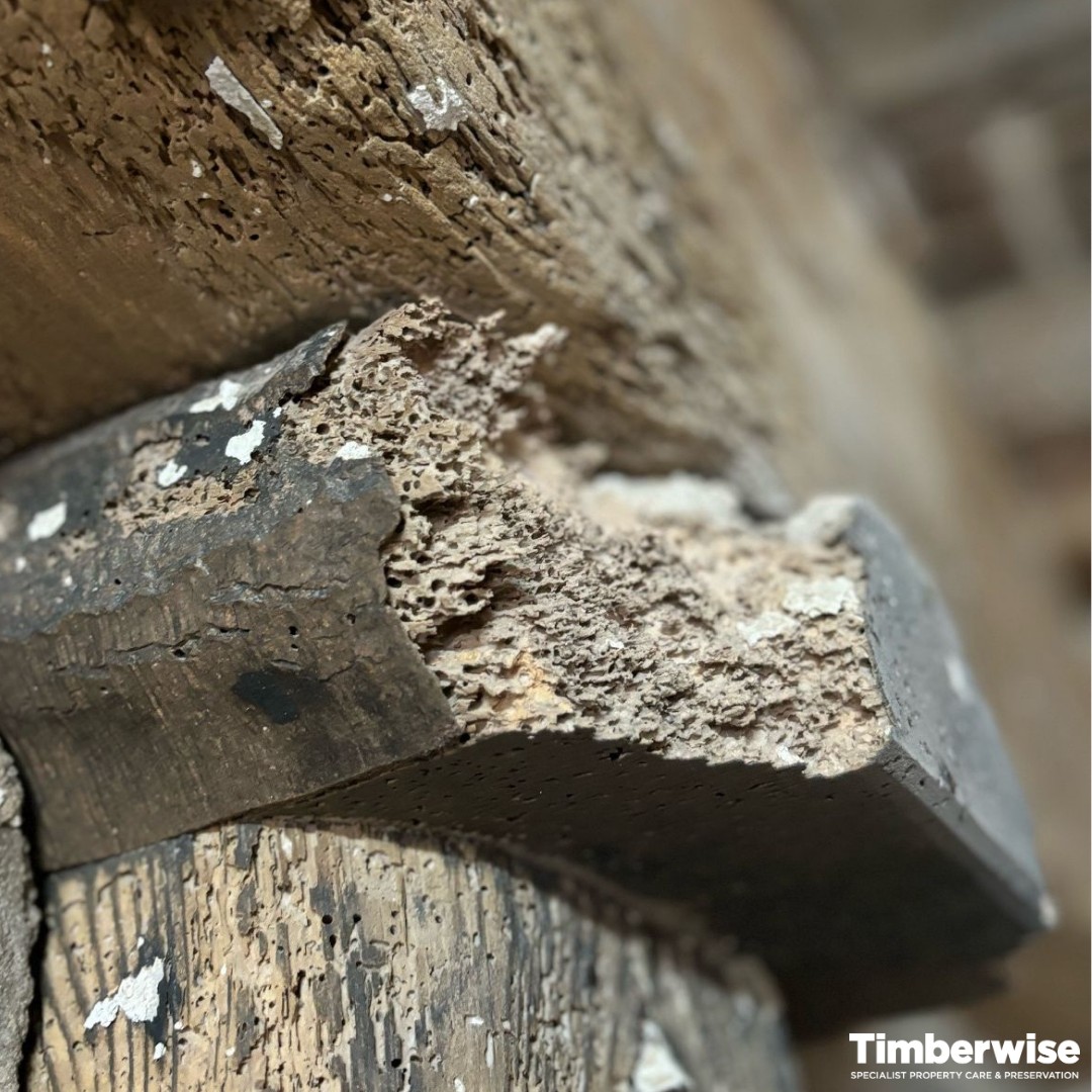 Timberwise (UK) Ltd | Northwich