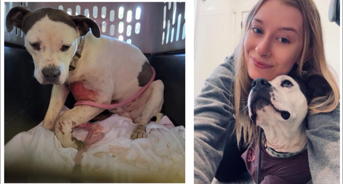 Rebecca - It was SO BAD. But now he’s SO LOVED. Tuff’s story is below ...