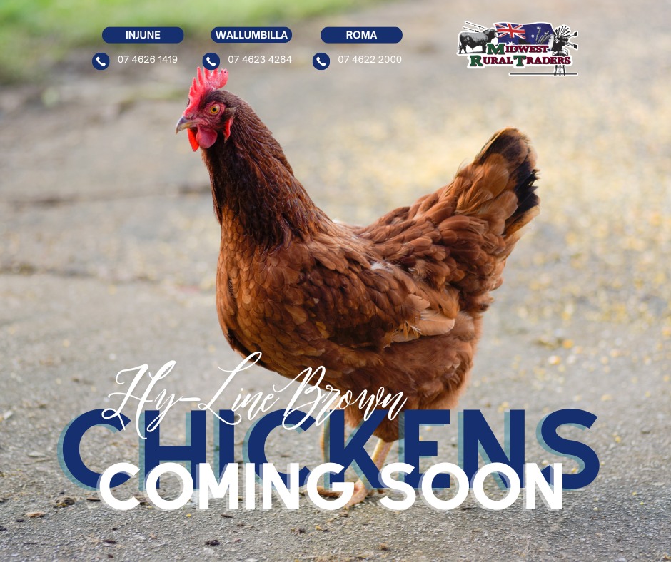 Midwest Rural Traders Pty Ltd | Wallumbilla QLD