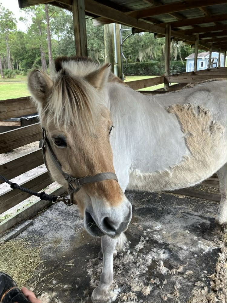 Enchanted Acres Ranch