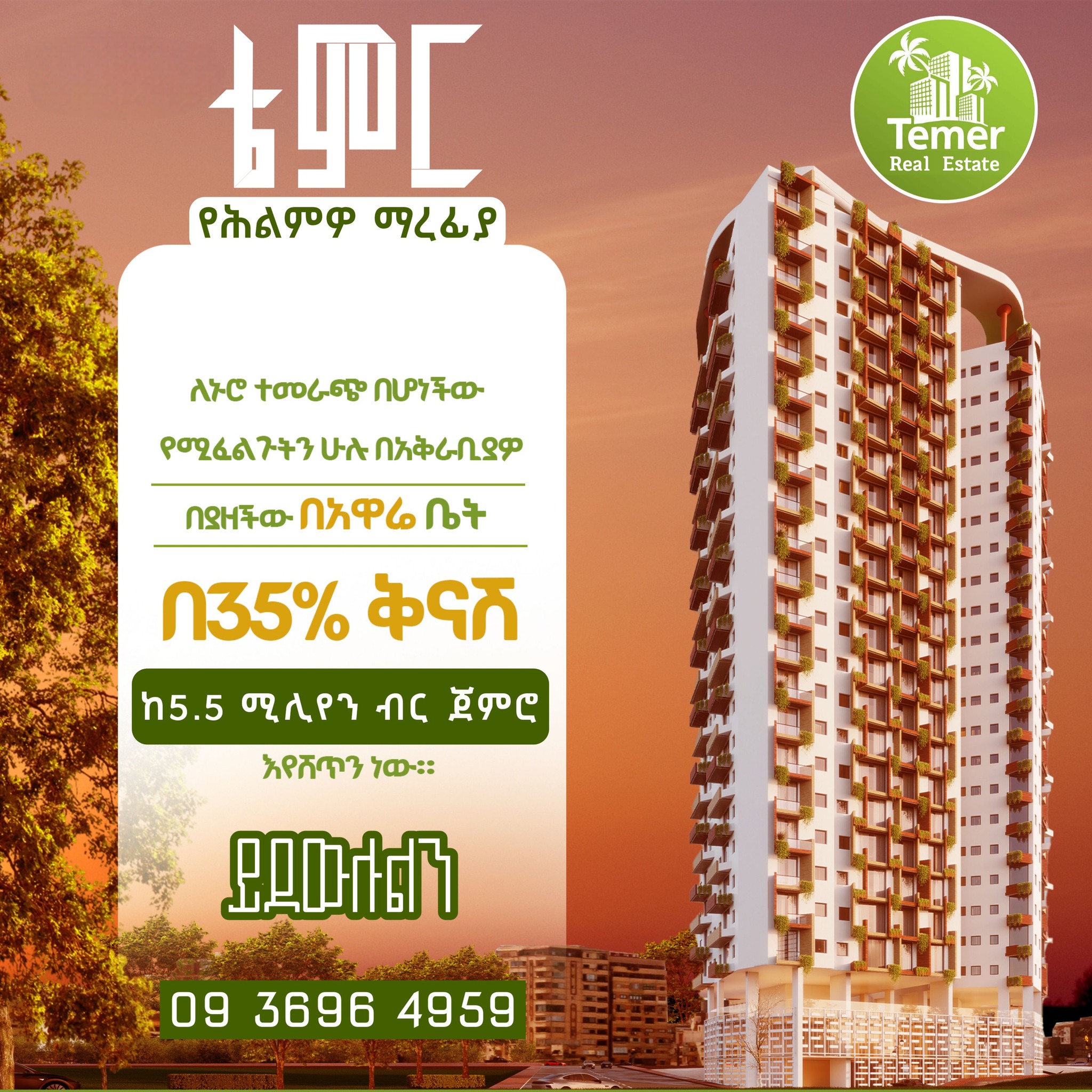 hailu-temer-properties-addis-ababa