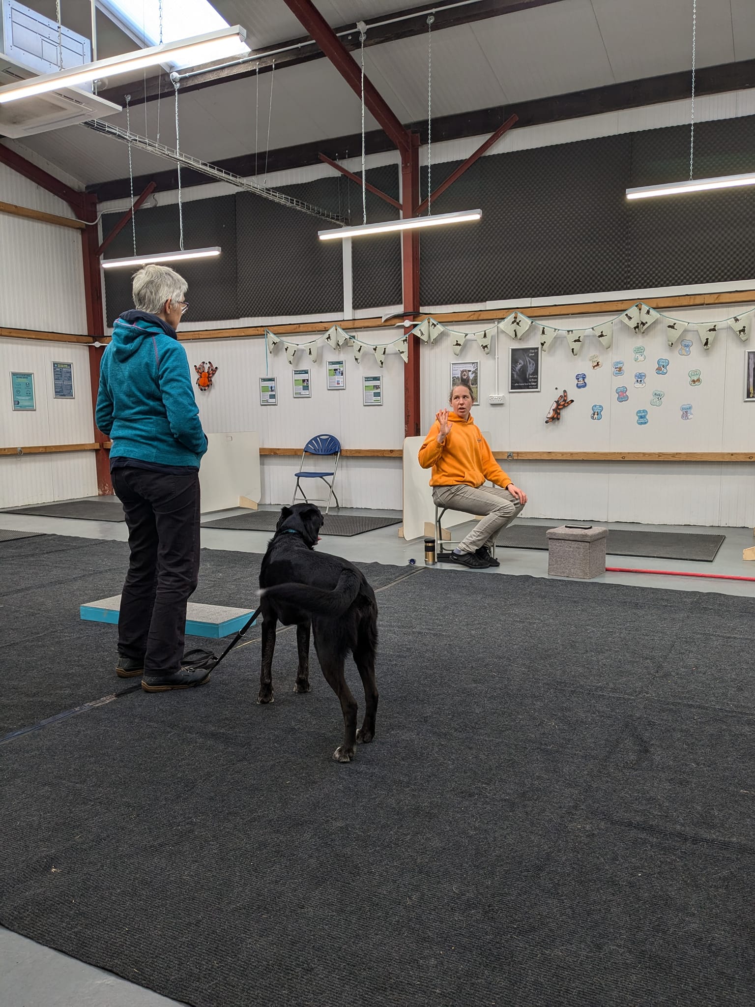 Custom Canine Training