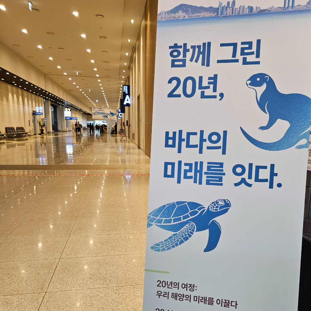 BPEX 비펙스 - 부산항국제전시컨벤션센터 | Busan