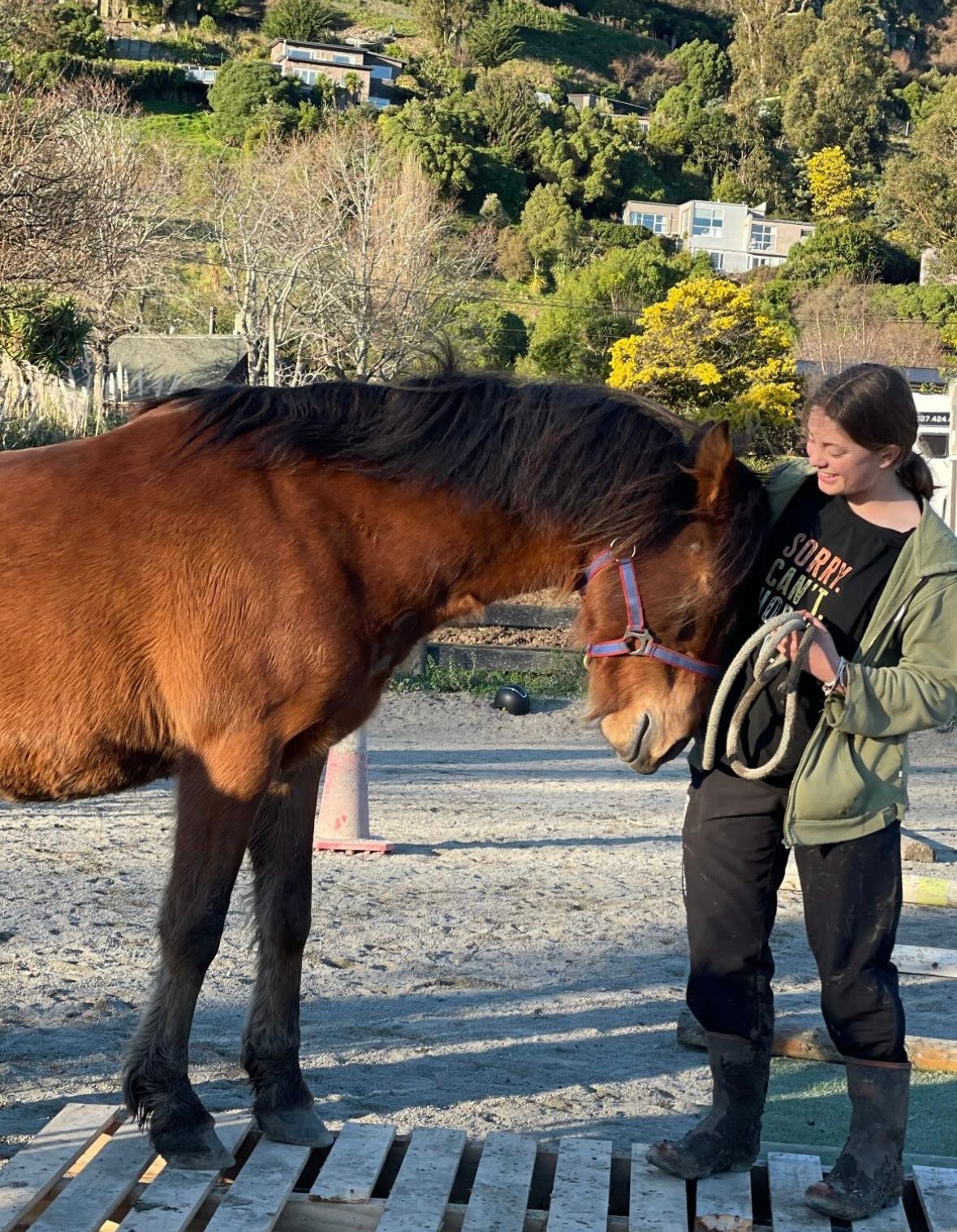 Heathcote Valley Riding School | Christchurch