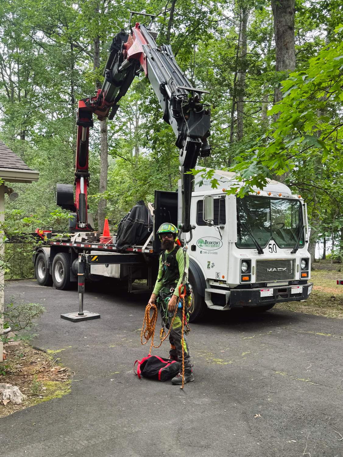Branson's Tree Service | Fredericksburg VA