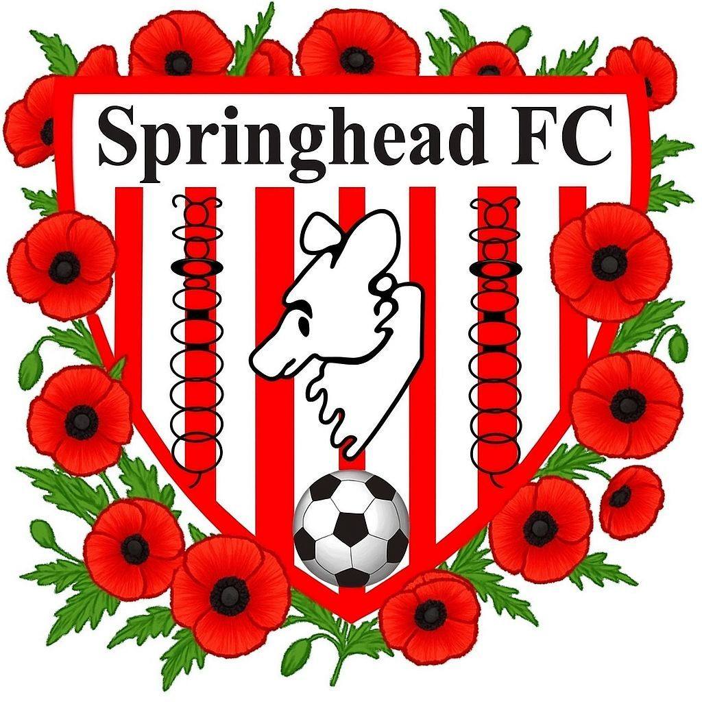 Springhead - Springhead F.C. Falcons are starting training for Under 11 ...