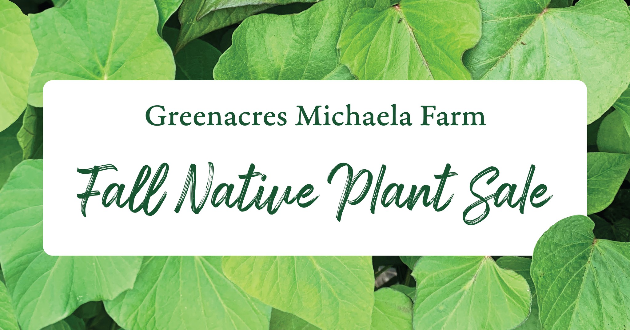 Fall Native Plant Sale at Greenacres Michaela Farm