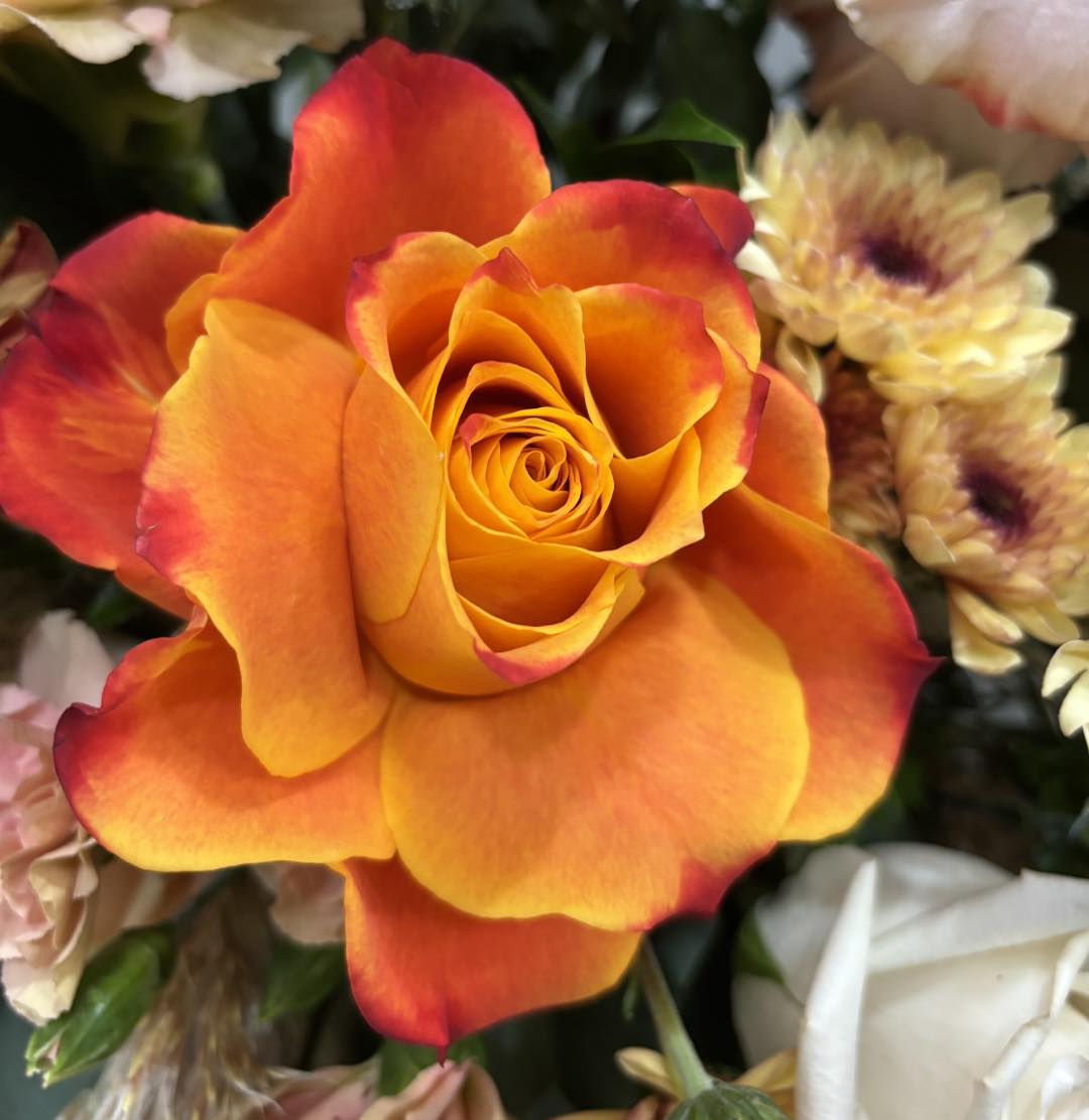 Arum - 🧡🌹 Today we honour the National Day for Truth and Reconciliation ...