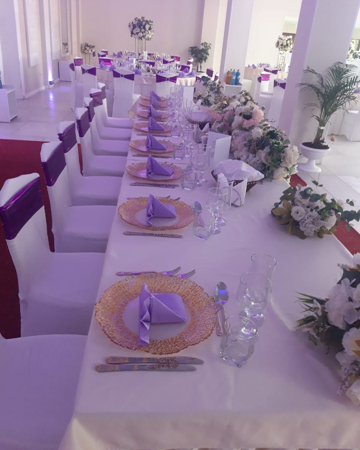 Splendor Events | Sacalaz