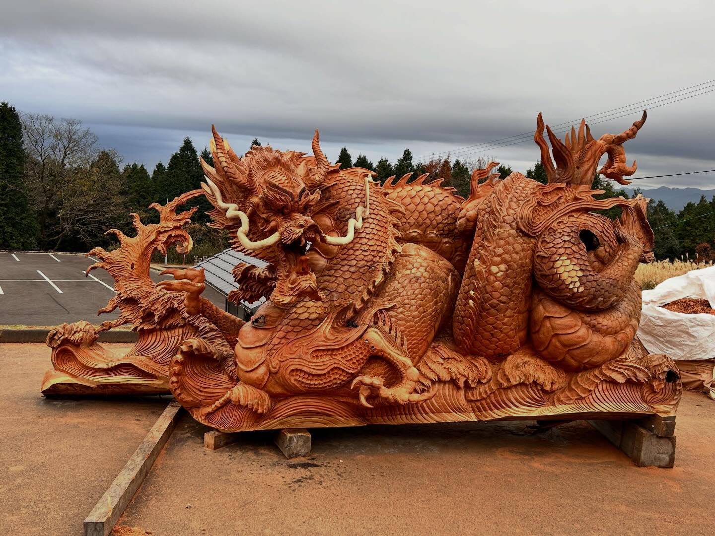 龍神様の完成です🐉 36日間かけて岡山の熊野神社の御神木の杉の風倒木