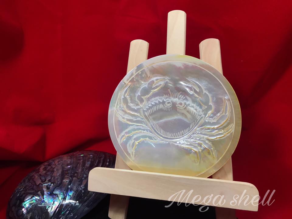 Mega shell - ลวดลายใหม่ ไฉไลกว่าเดิมมม 🐚💕...