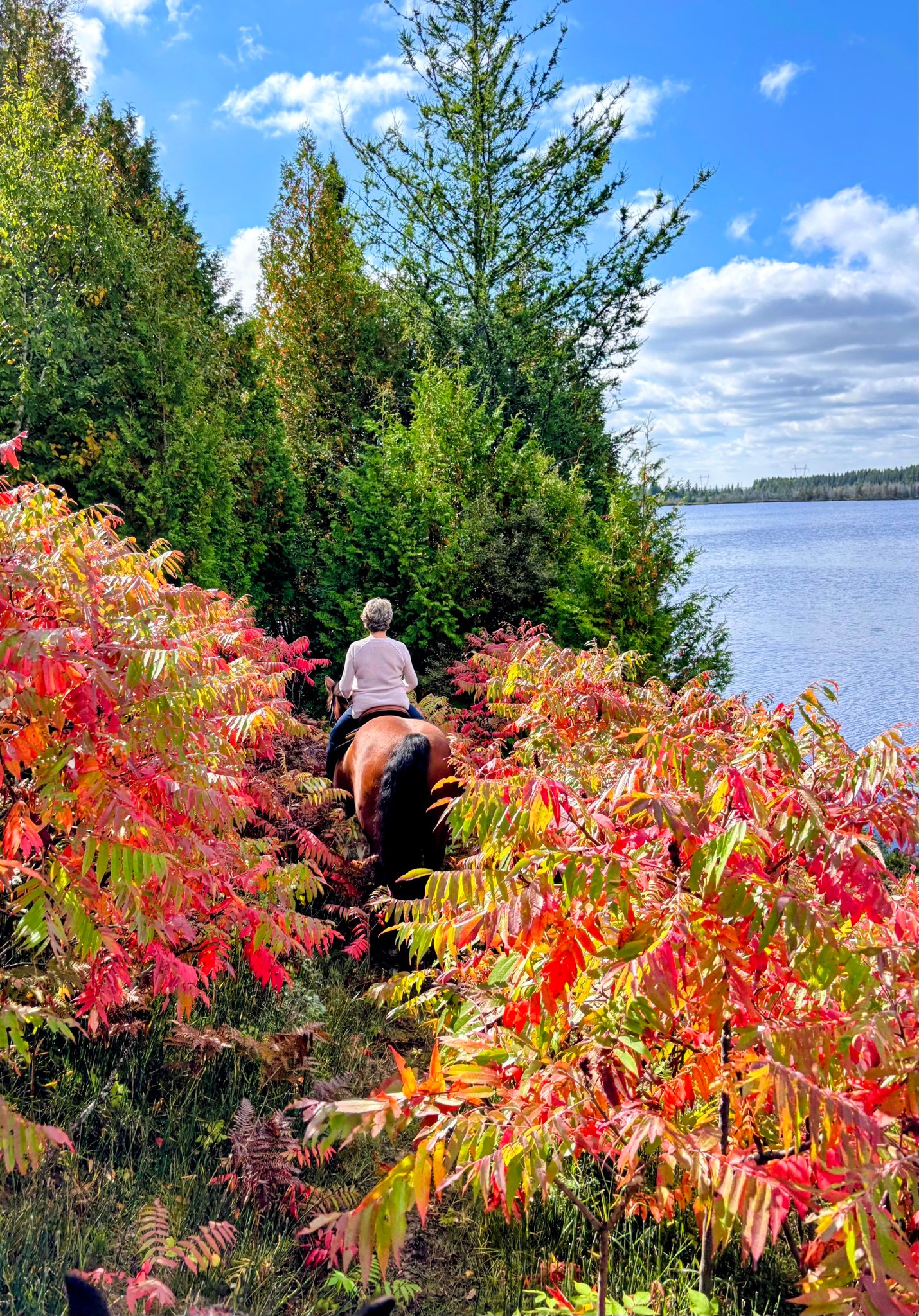 Pine Ridge Ranch | Greater Sudbury ON