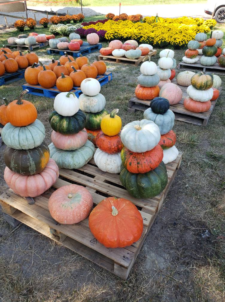 Stone Ridge Farm Market added a... - Stone Ridge Farm Market